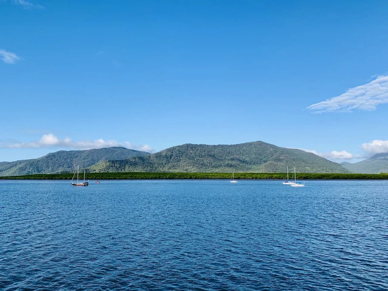 Cairns Australia Diving