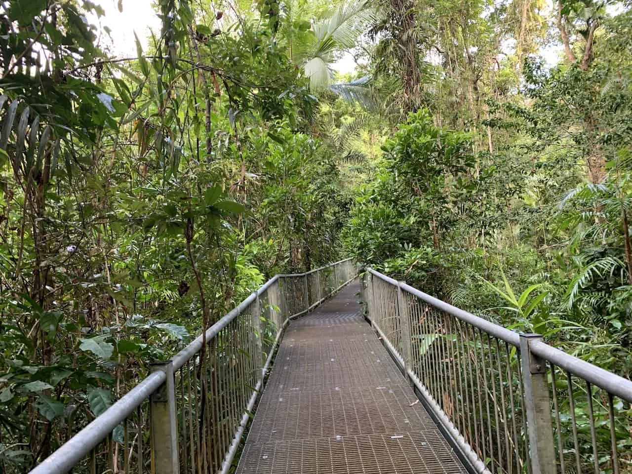Daintree Discovery Centre Walkway