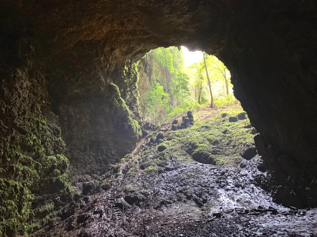 Goa Jomblang Cave Entrance