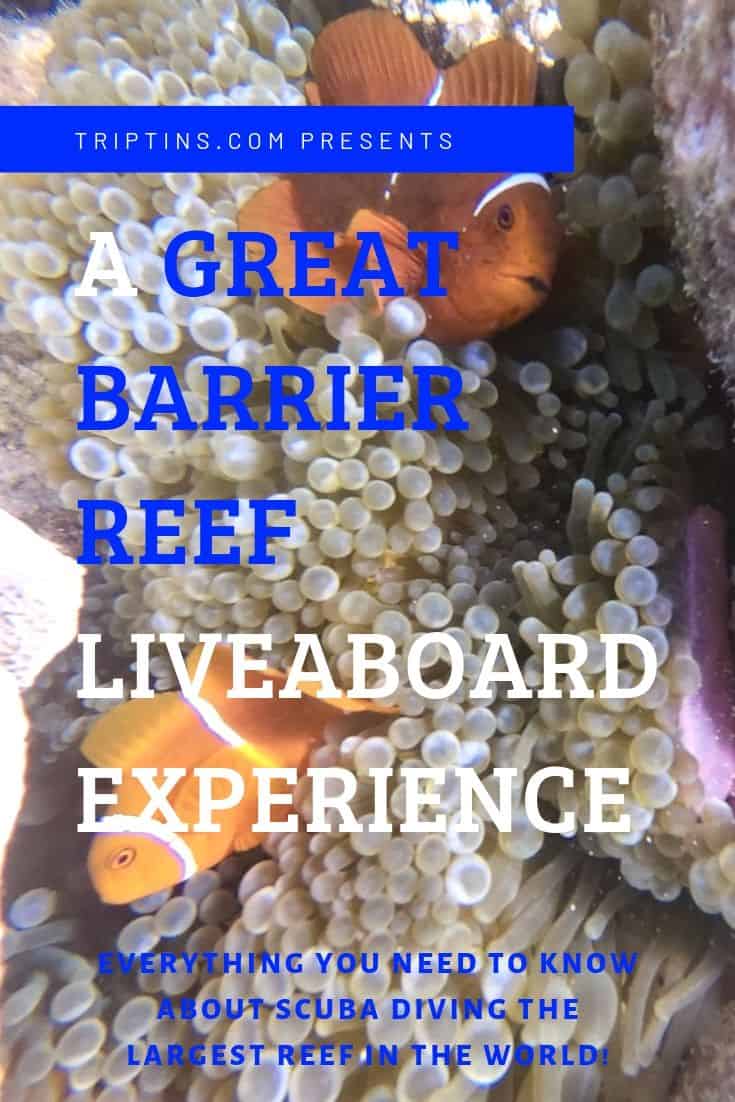 Great Barrier Reef Liveaboard