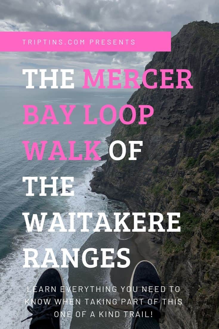 Mercer Bay Loop Walk
