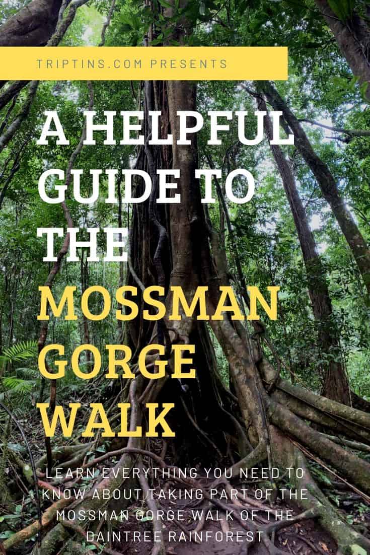 Mossman Gorge Walk
