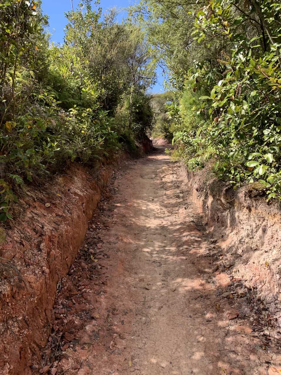 Rainbow Mountain Rotorua Path