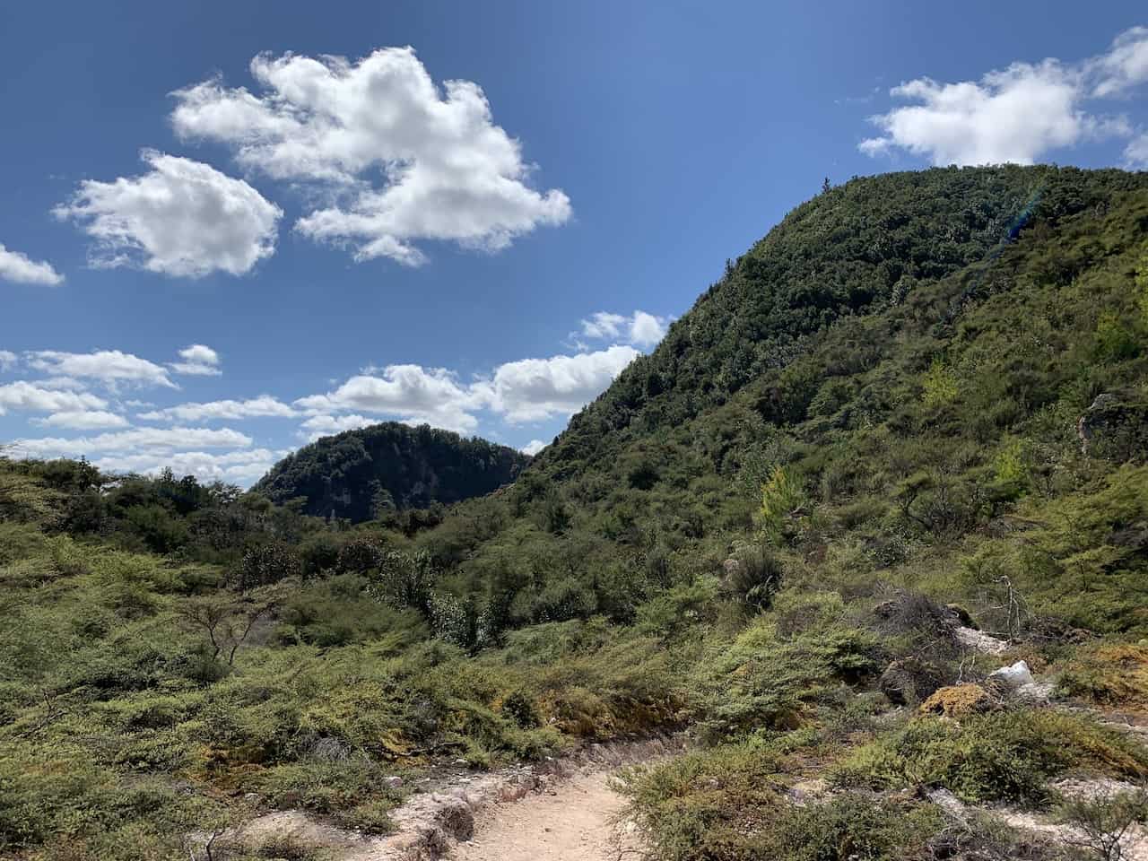 Rainbow Mountain Scenic Reserve Forest