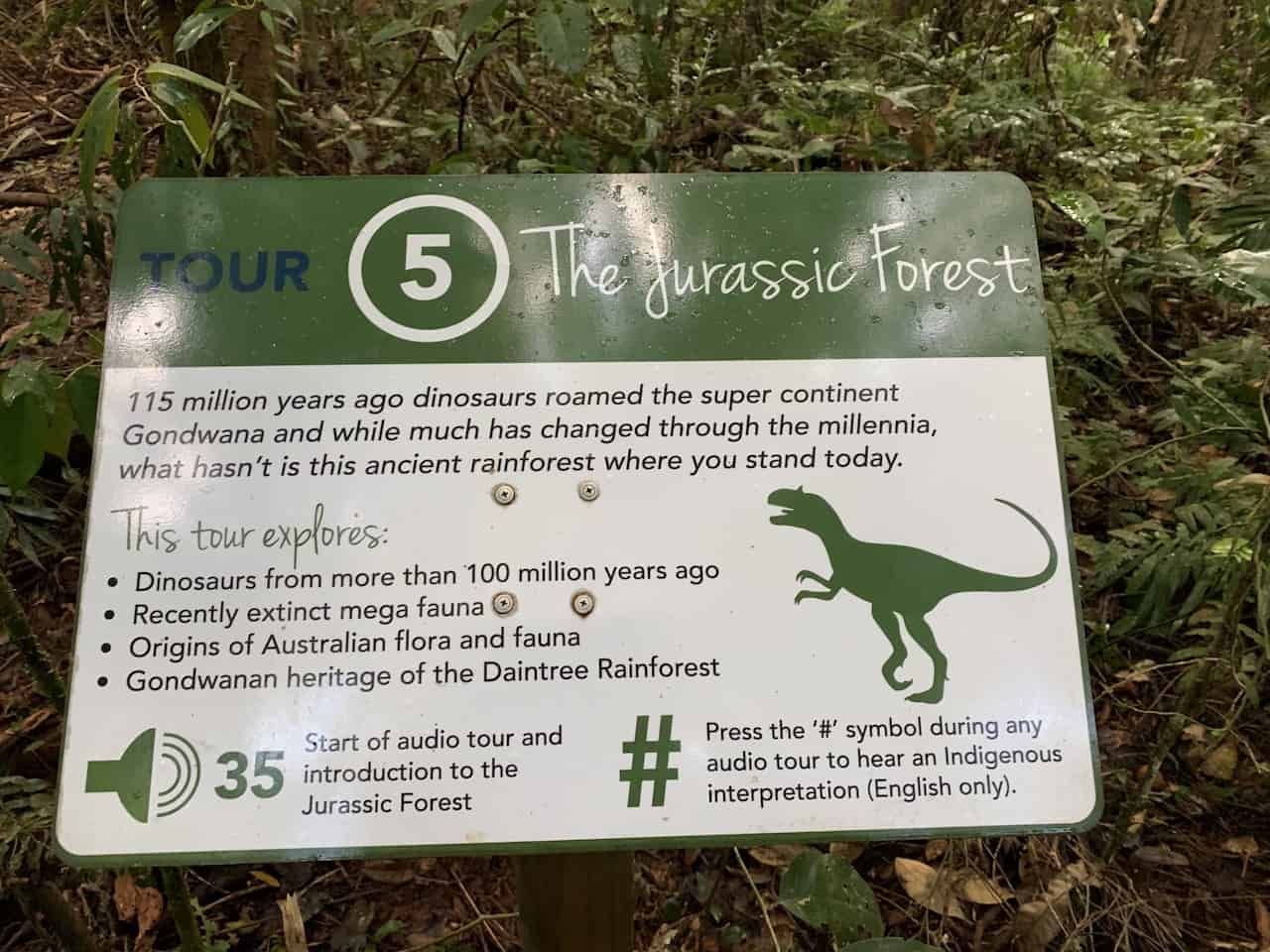 The Jurassic Forest