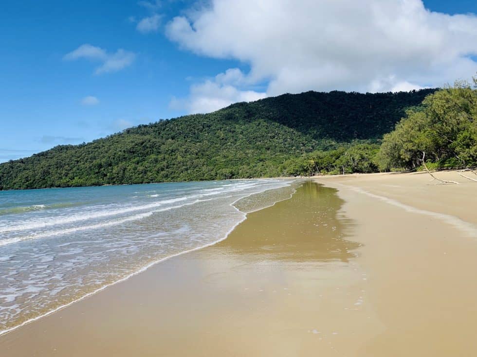 10 BEAUTIFUL Daintree Beaches (Cape Trib, Myall & More!) | TripTins