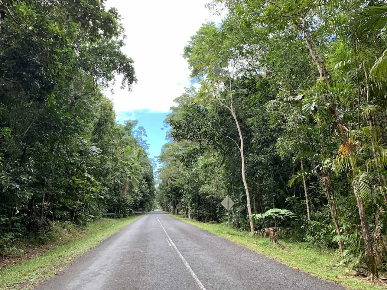 Daintree Driving