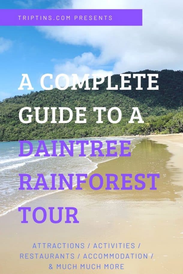 A DIY Daintree Rainforest Tour | A COMPLETE Daintree Guide & Itinerary