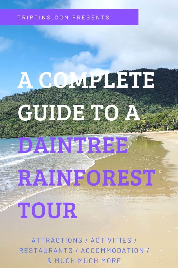 Daintree Rainforest Tour