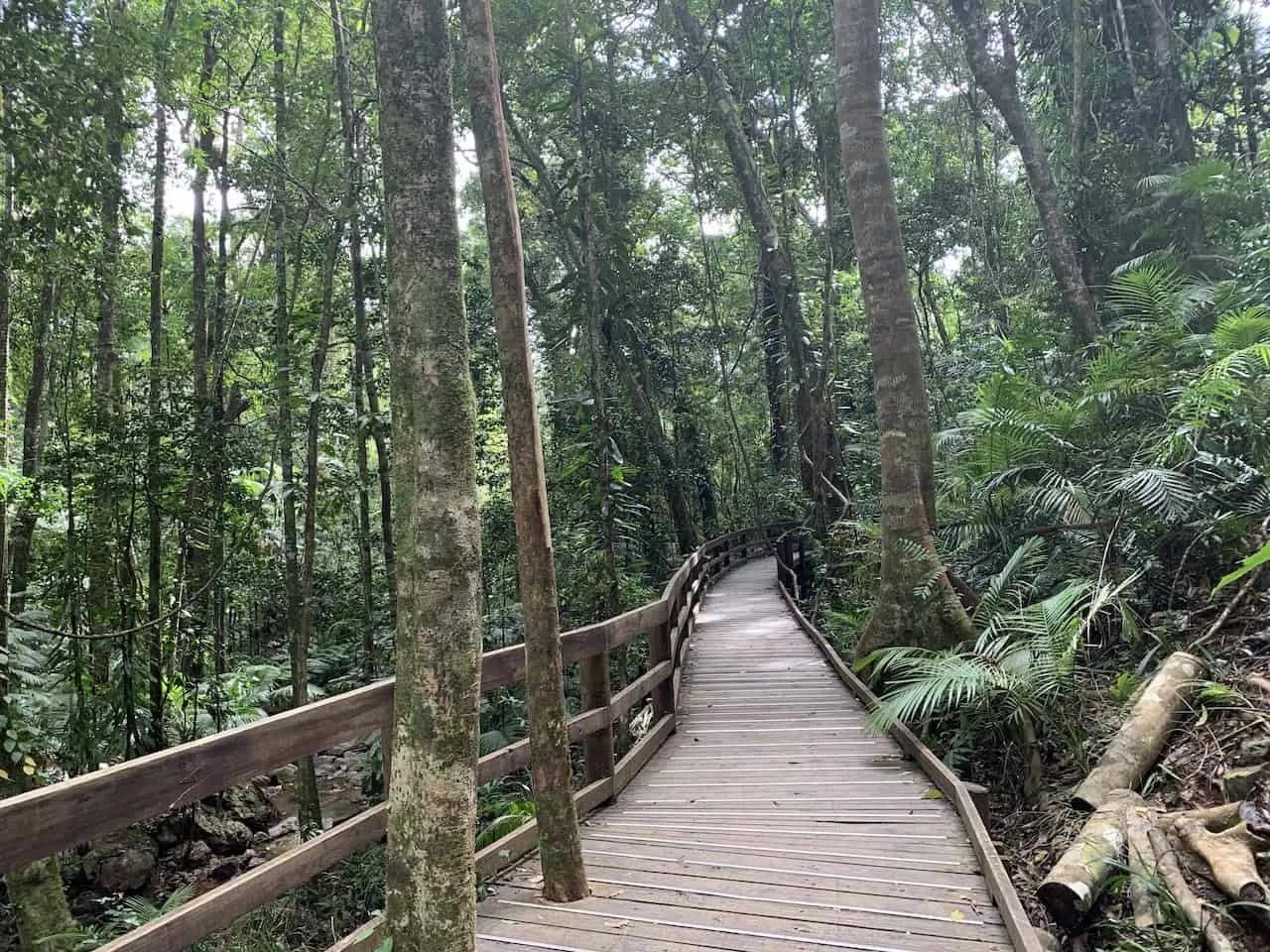 Jindalba Boardwalk