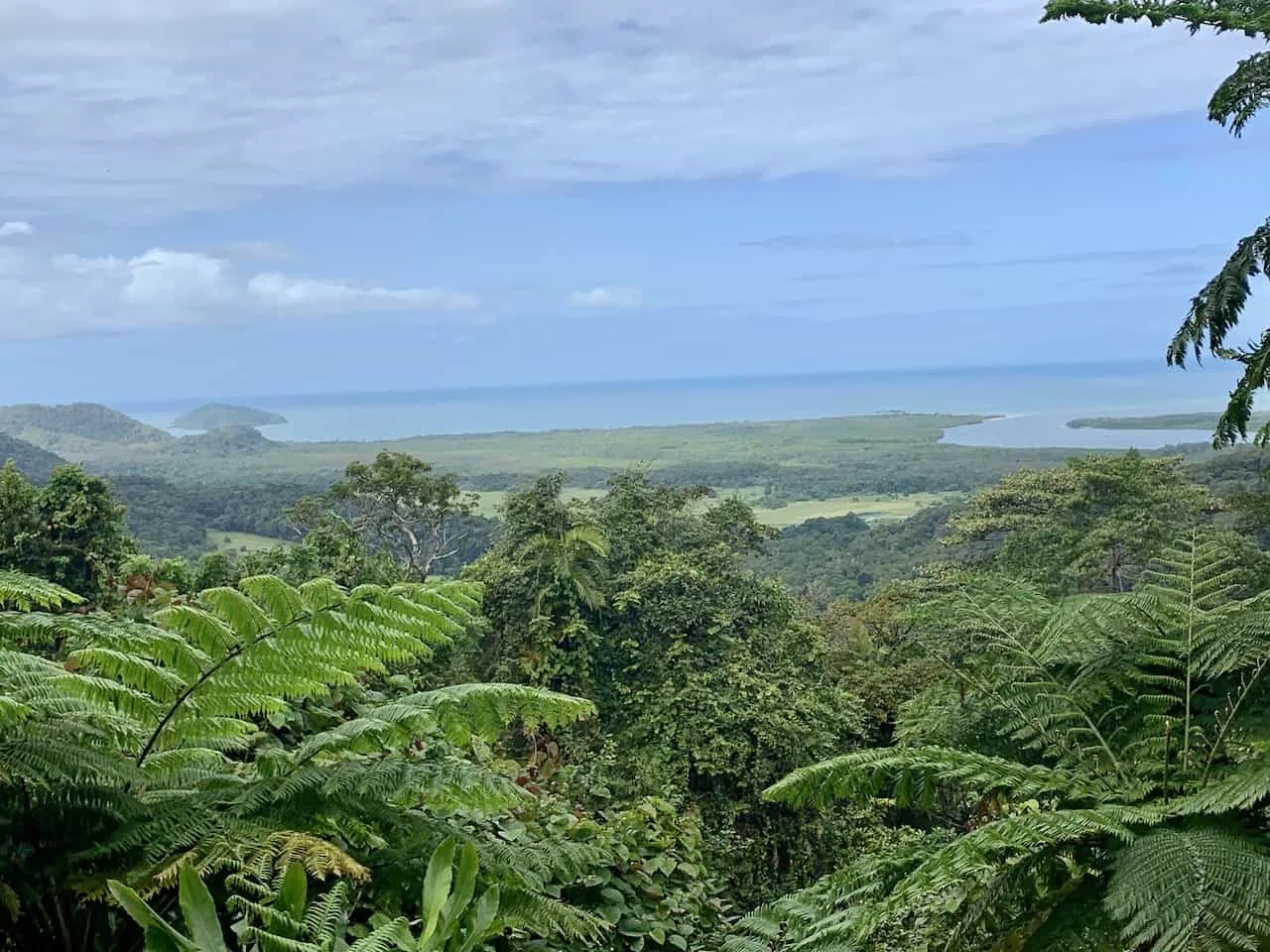 Mount Alexandra Lookout