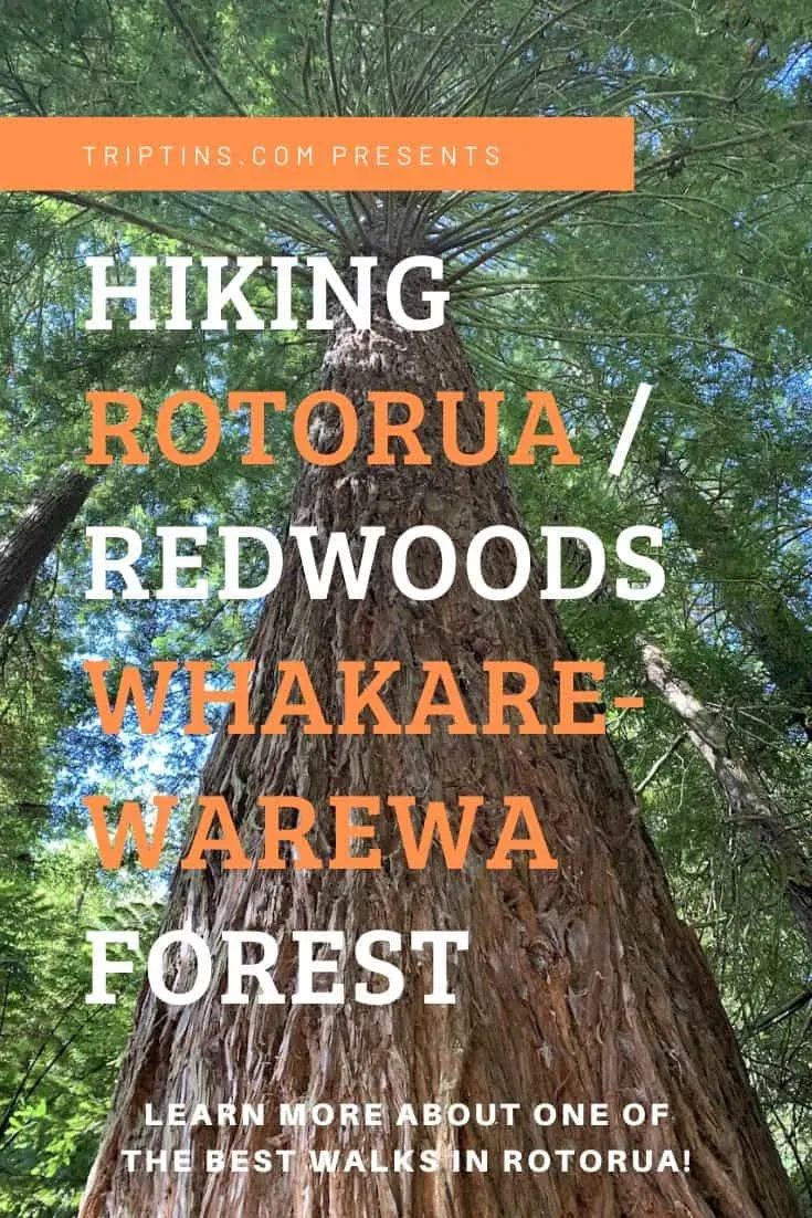 Rotorua Walks Redwoods