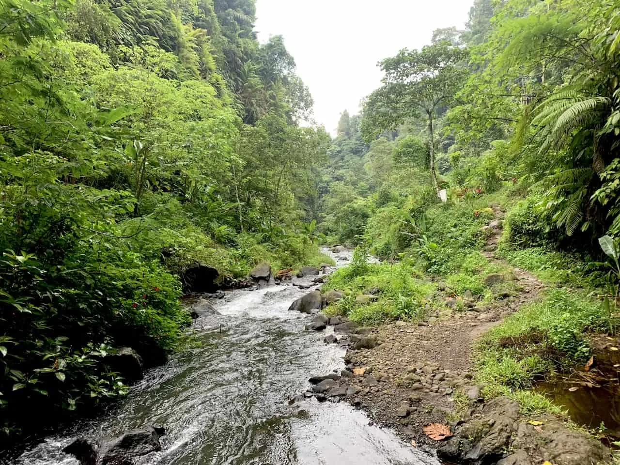 Bali Waterfall Hike