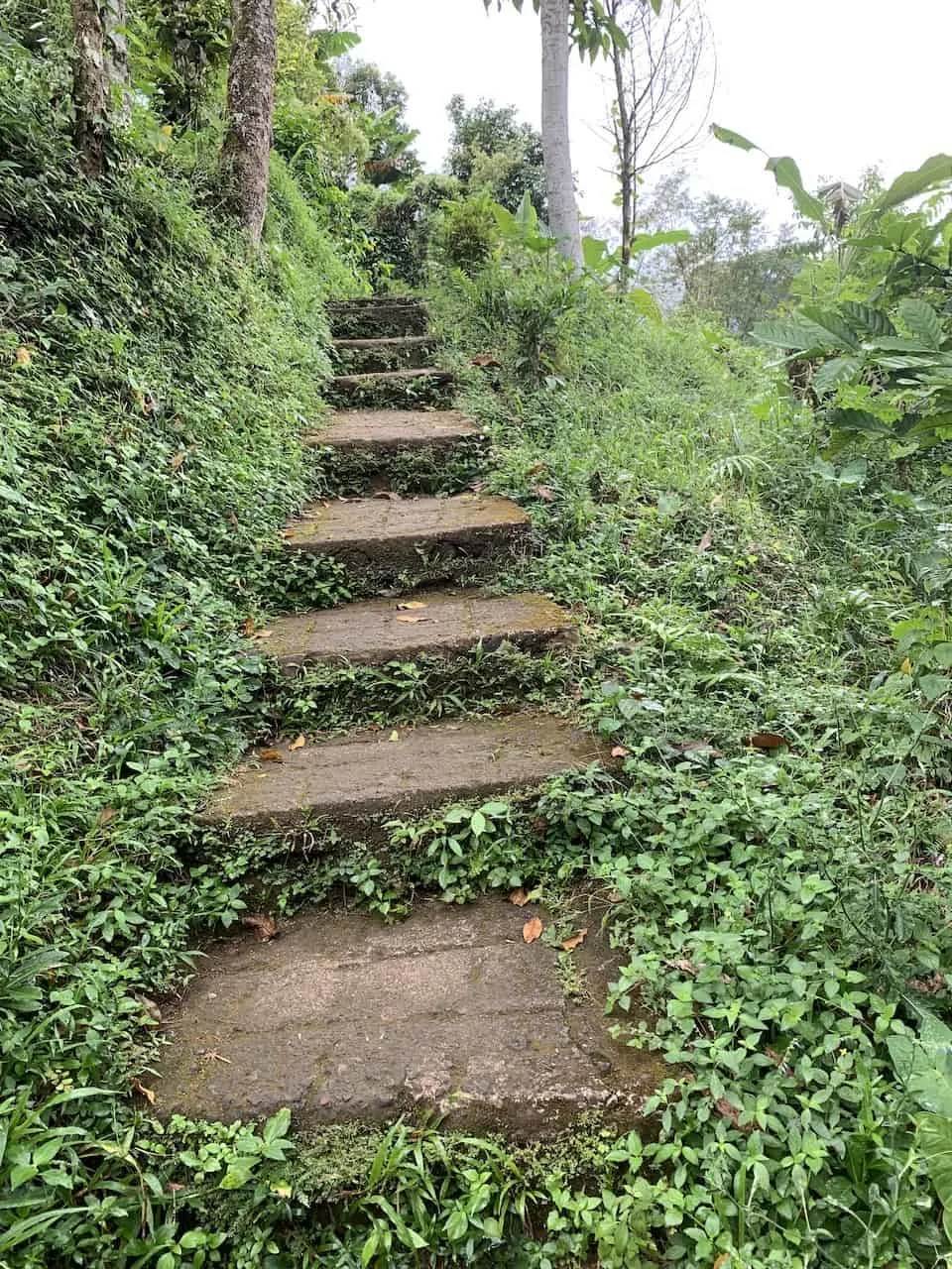 Bali Waterfall Trek