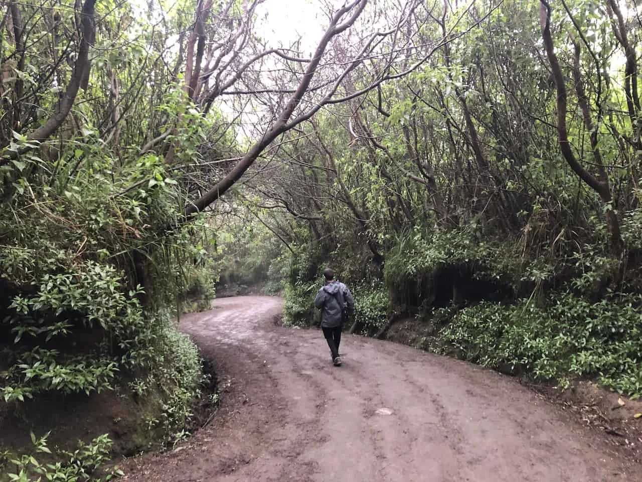 Dirt Path Ijen