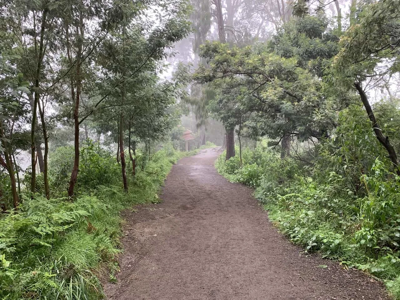 Ijen Trail