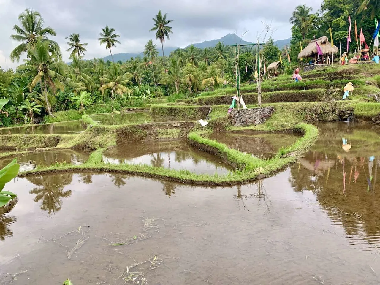 Bali Rice Fields Waterfall