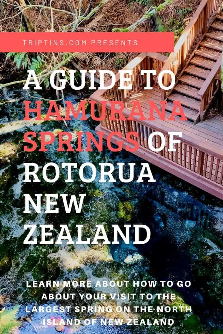 Hamurana Springs Rotorua New Zealand