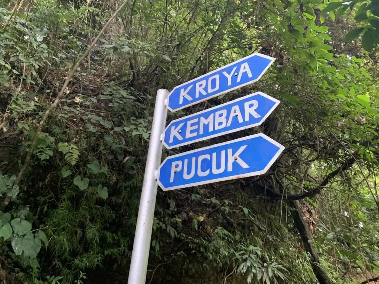 Kroya Kembar Pucuk