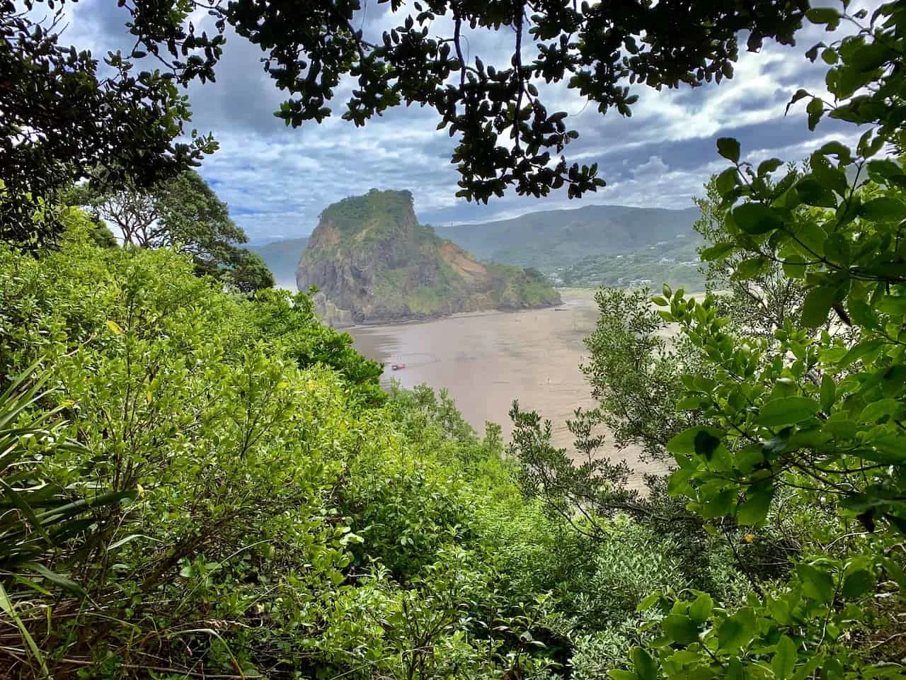 Piha Beach View Tasman