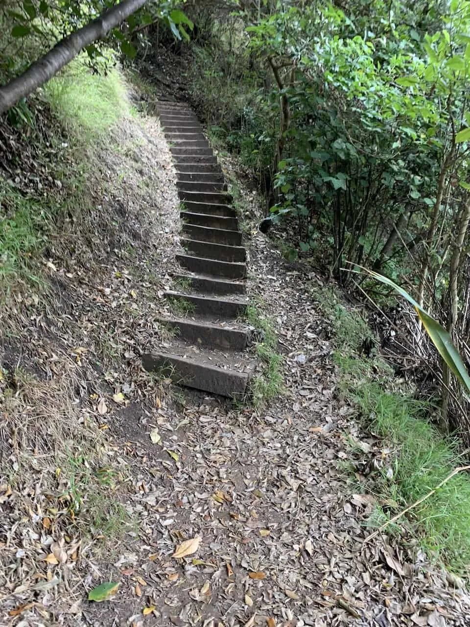 Tasman Lookout Stairs