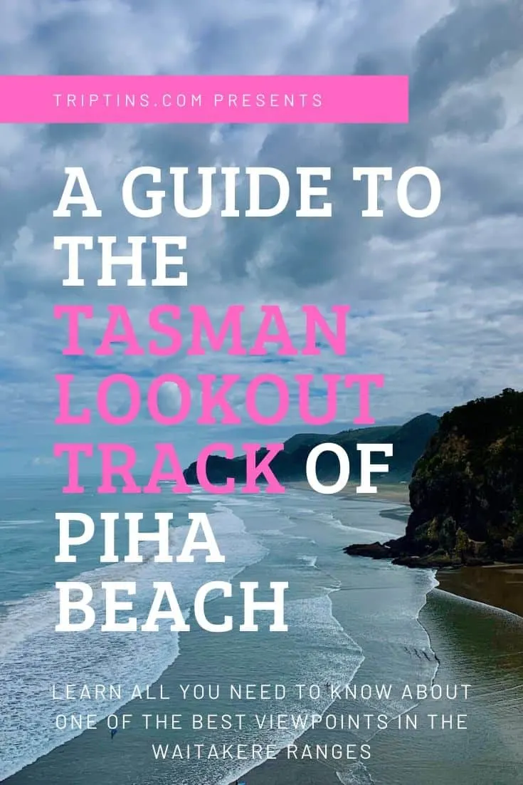 Tasman Lookout Track Piha Beach