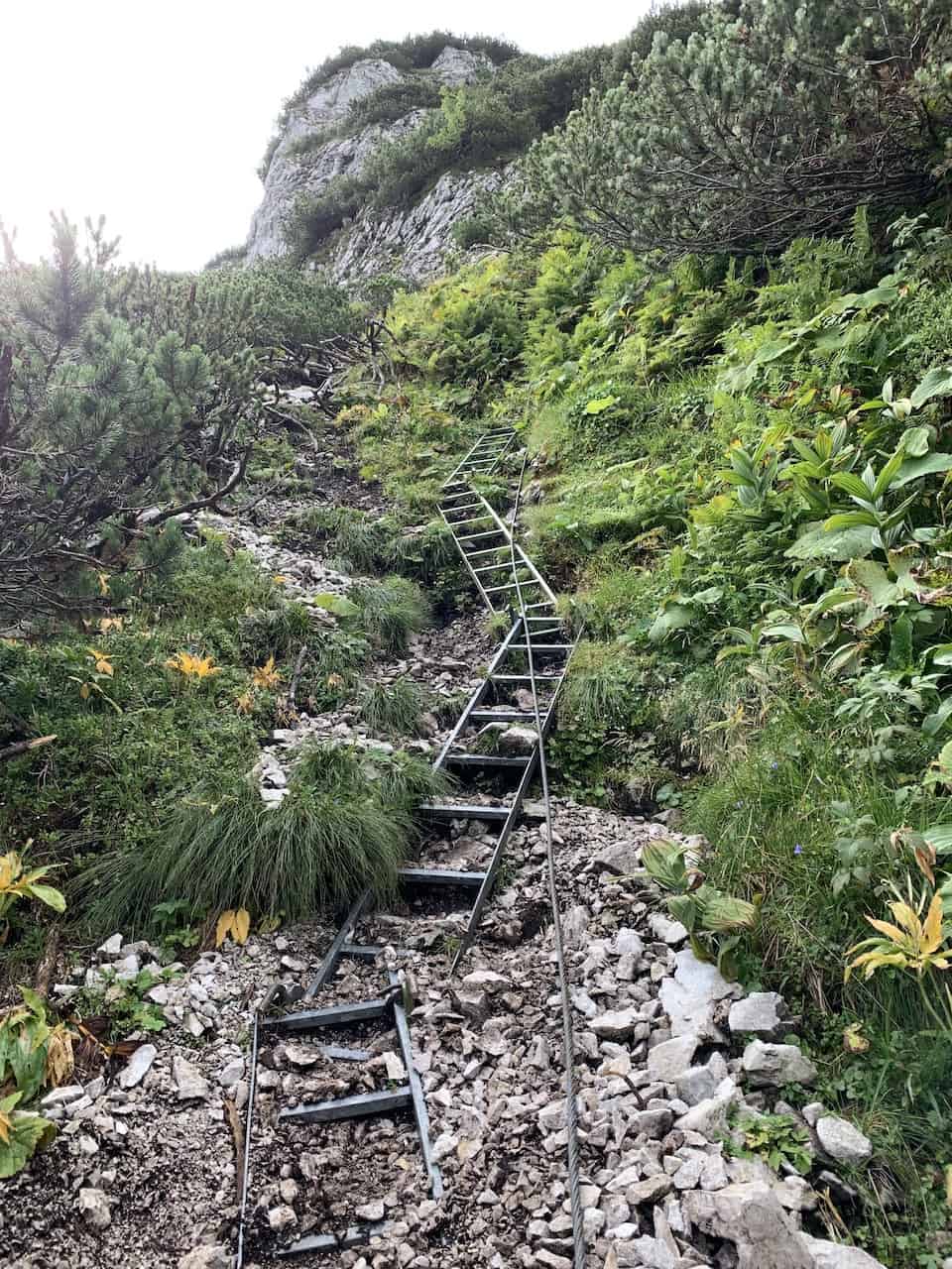 Klettersteig Ladder Section
