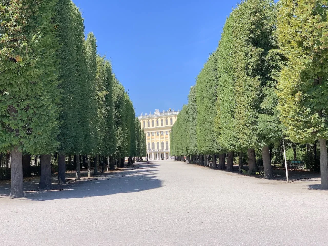 Schonbrunn Gardens