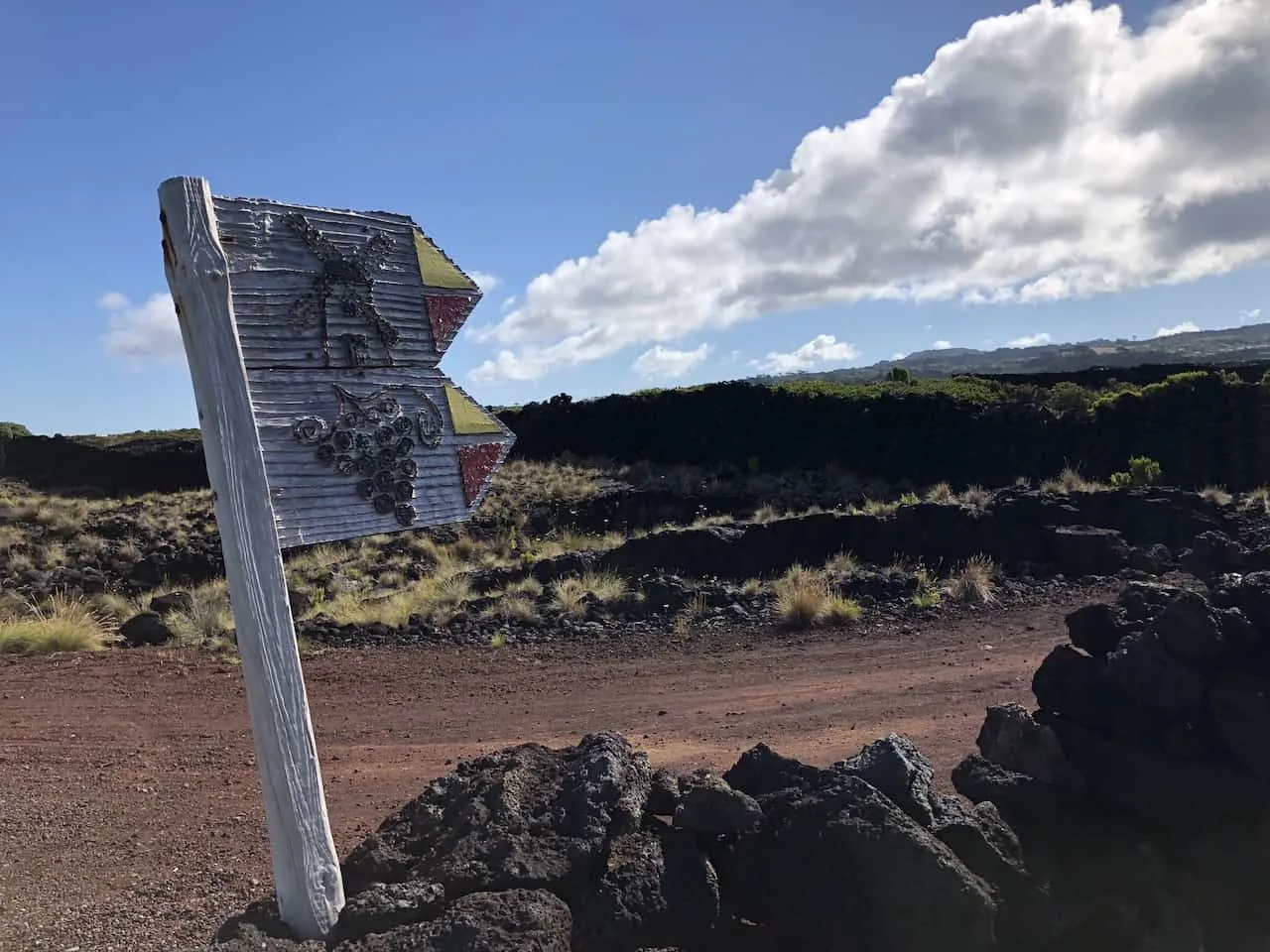 Trail Signs Pico