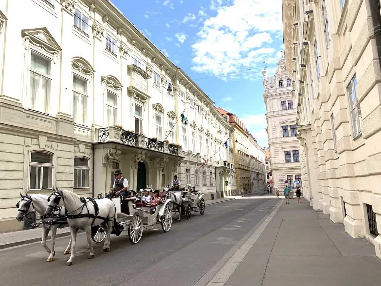 Vienna Horse Carriages