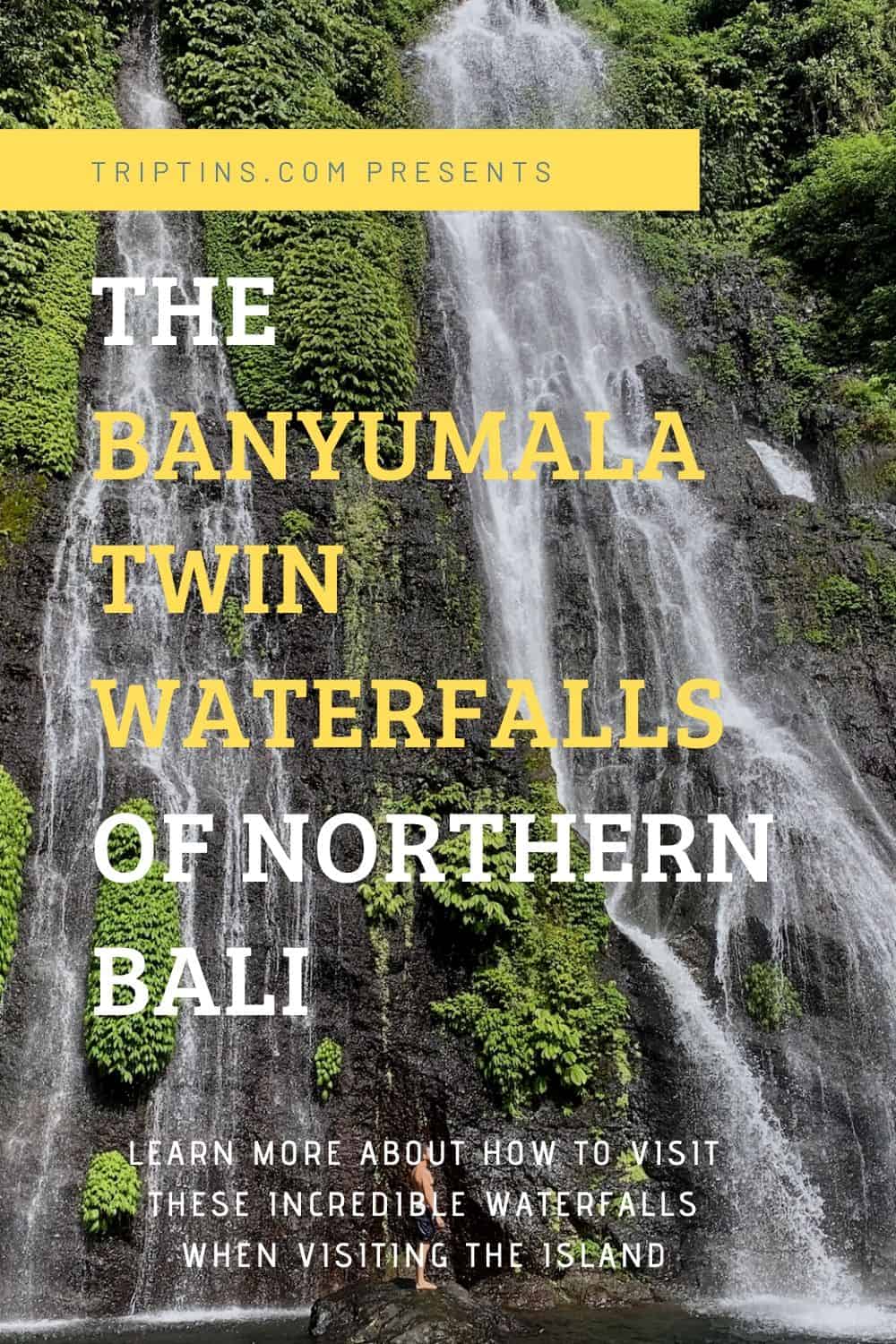 Banyumala Twin Waterfalls Bali Indonesia