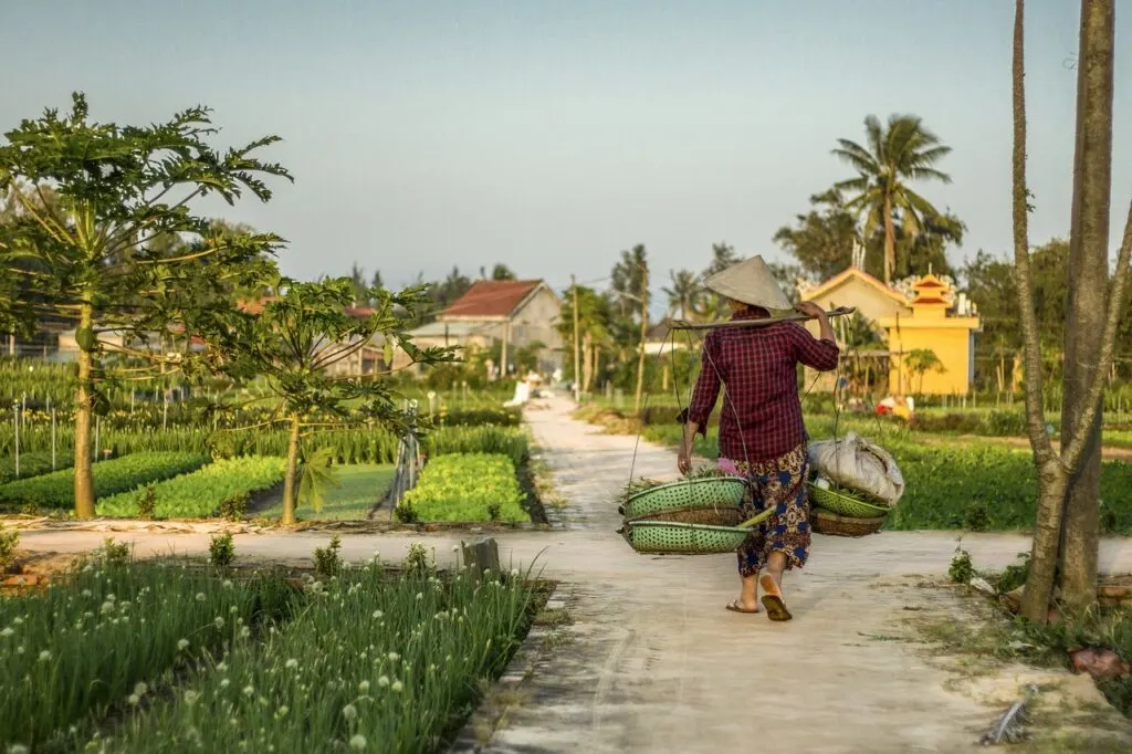 Hoi An Exploring