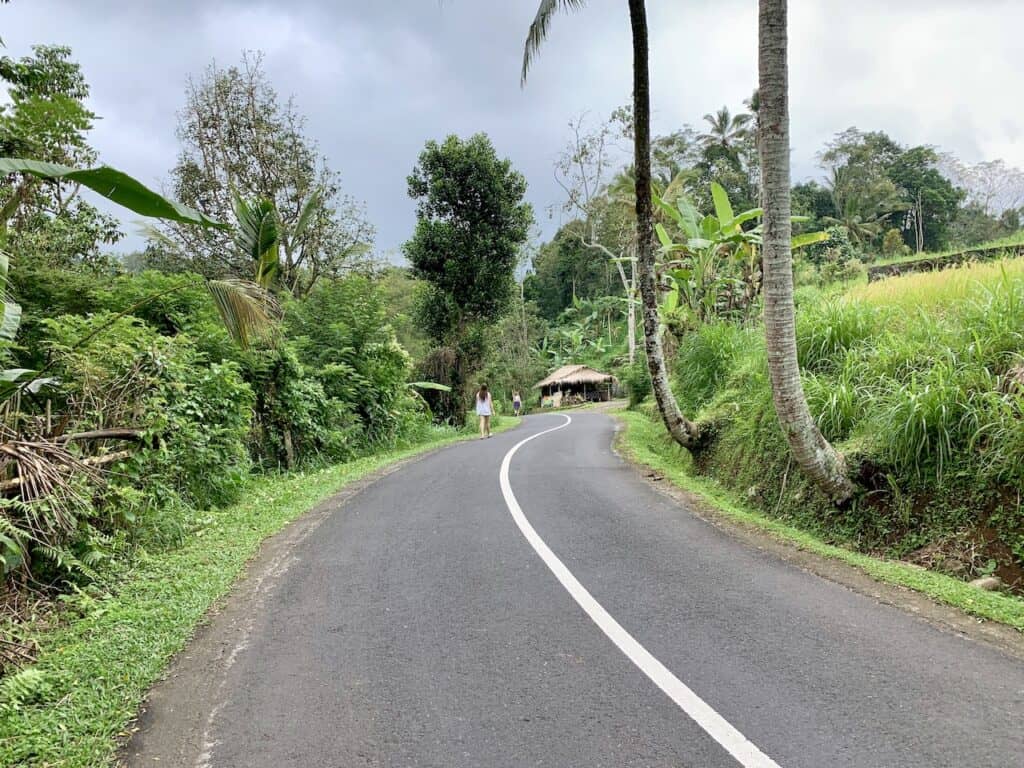 Roads in Bali