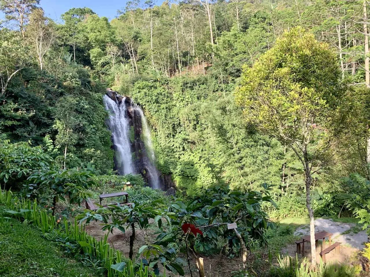 Golden Valley Waterfall Eco Cafe