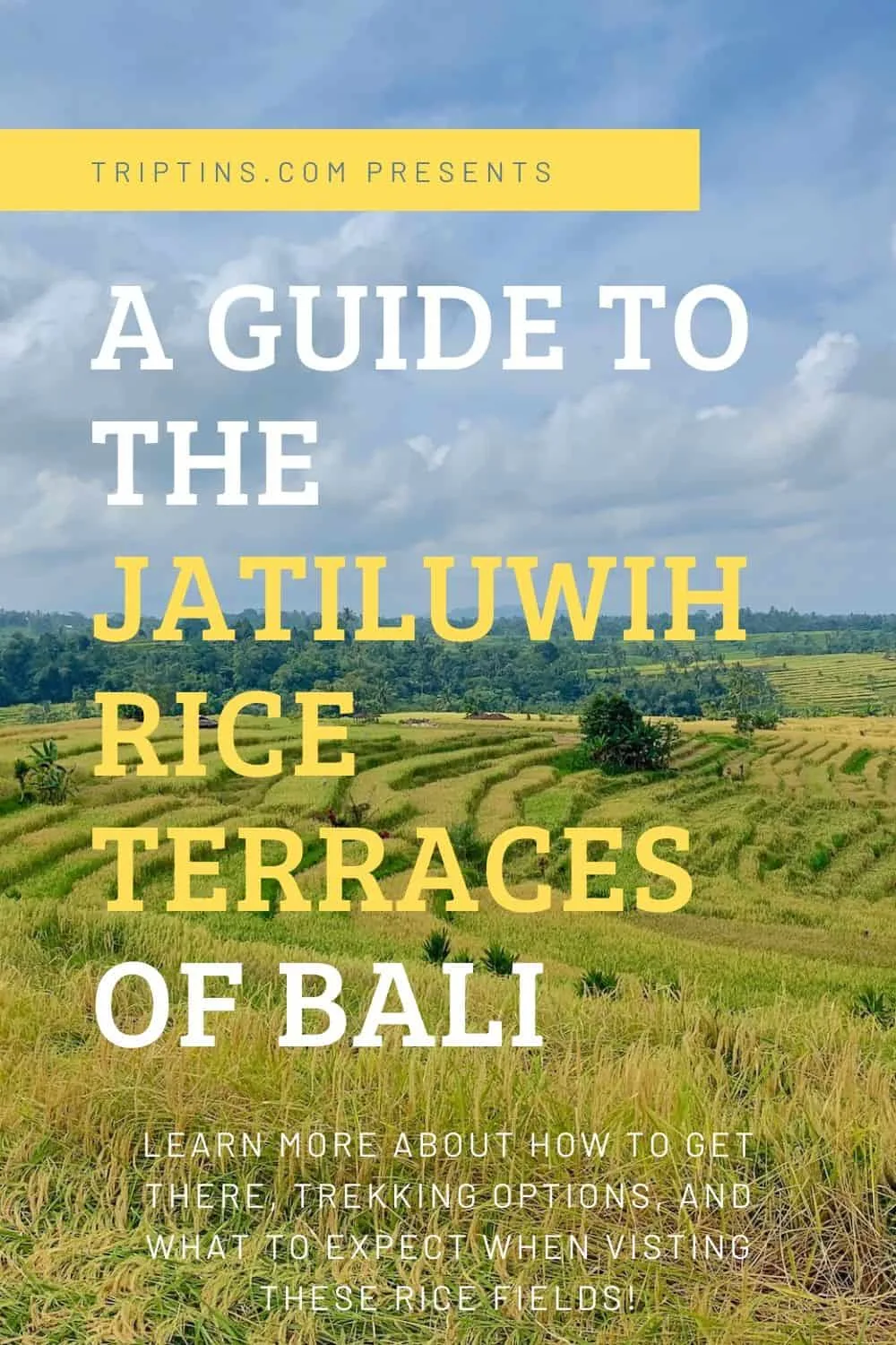 Jatiluwih Rice Fields Bali