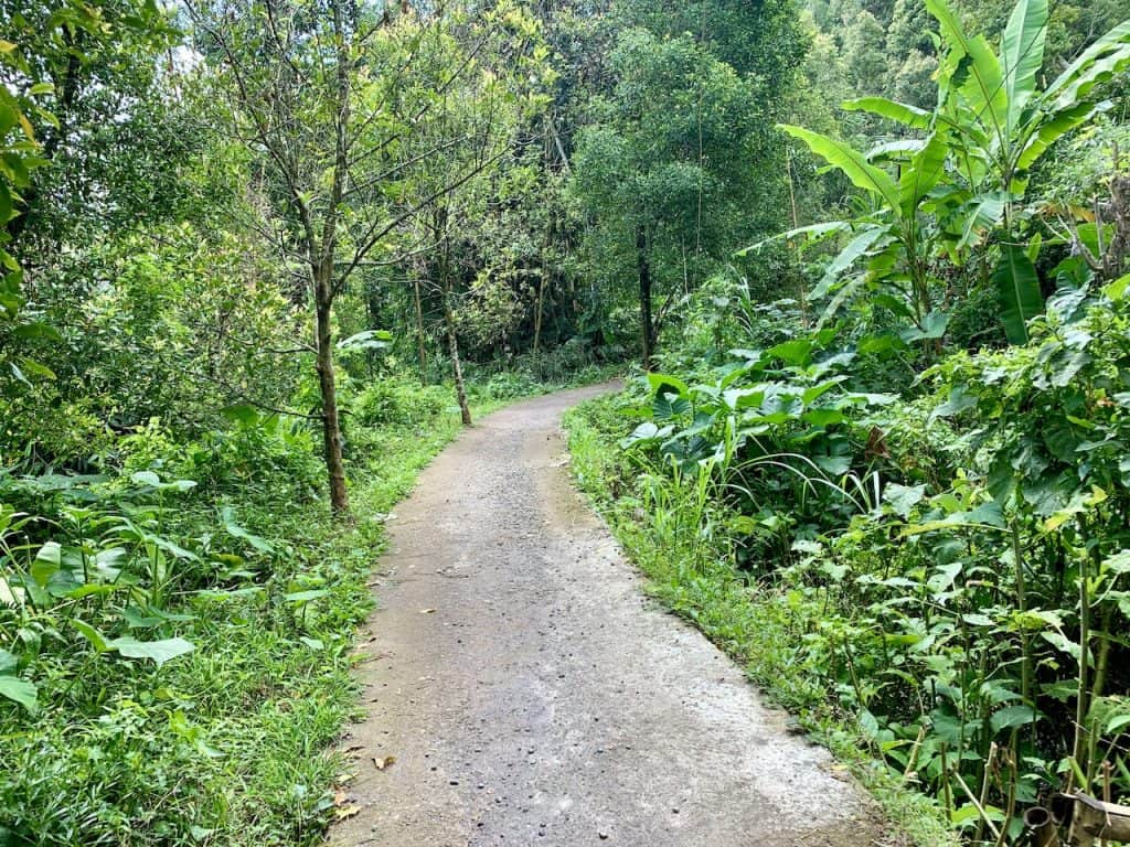 The Munduk Waterfall Trek | Kebo, Melanting, Red Coral, Golden Valley