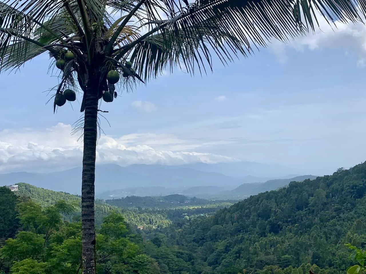 Views of Munduk Jungle