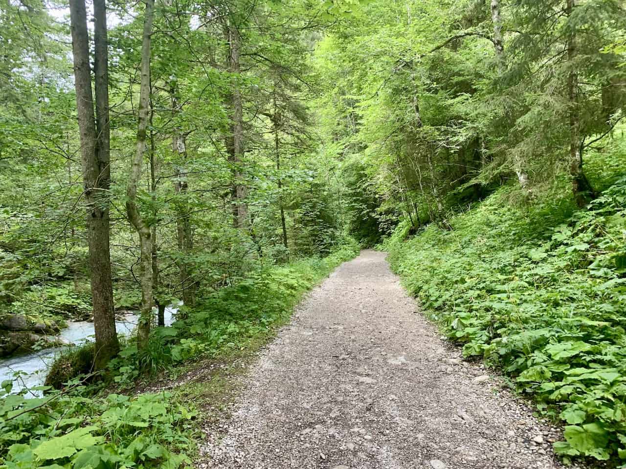 Hammersbach Trail Gorge