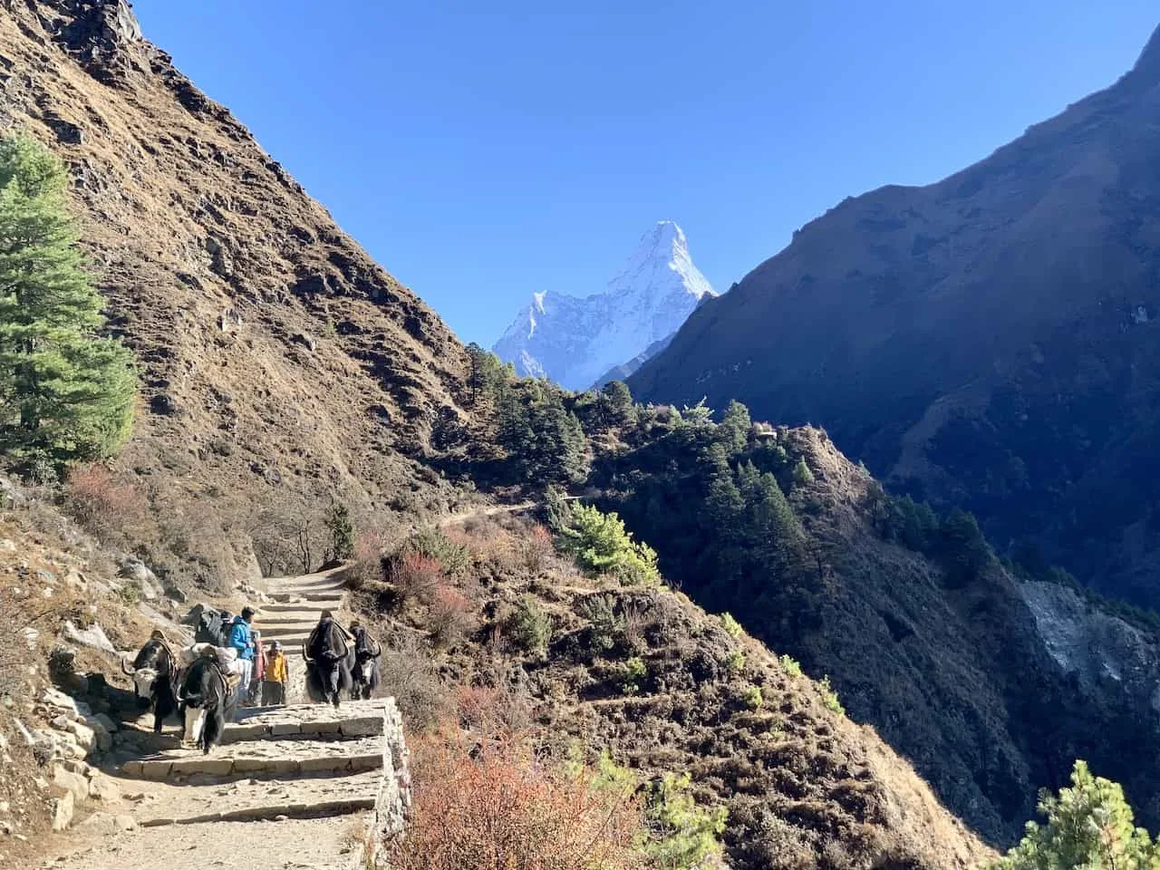 Namche Bazaar to Tengboche Ama Dablam