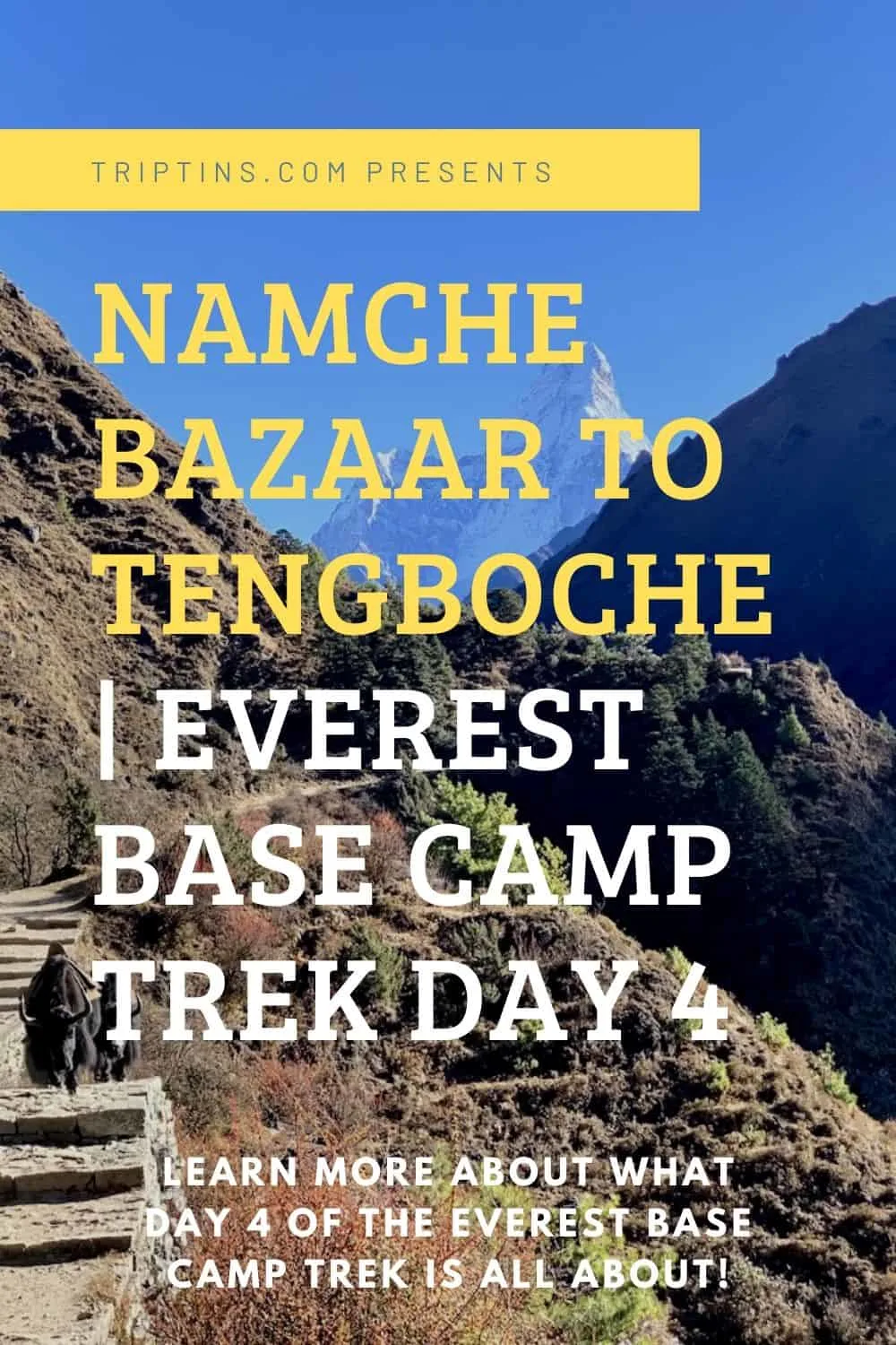 Namche Bazaar to Tengboche Trekking