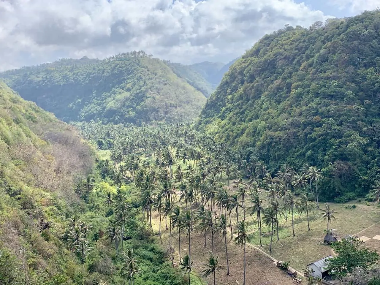 Nusa Penida Greenery