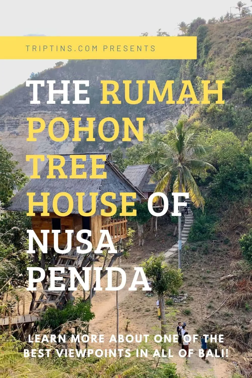 Rumah Pohon Treehouse Nusa Penida