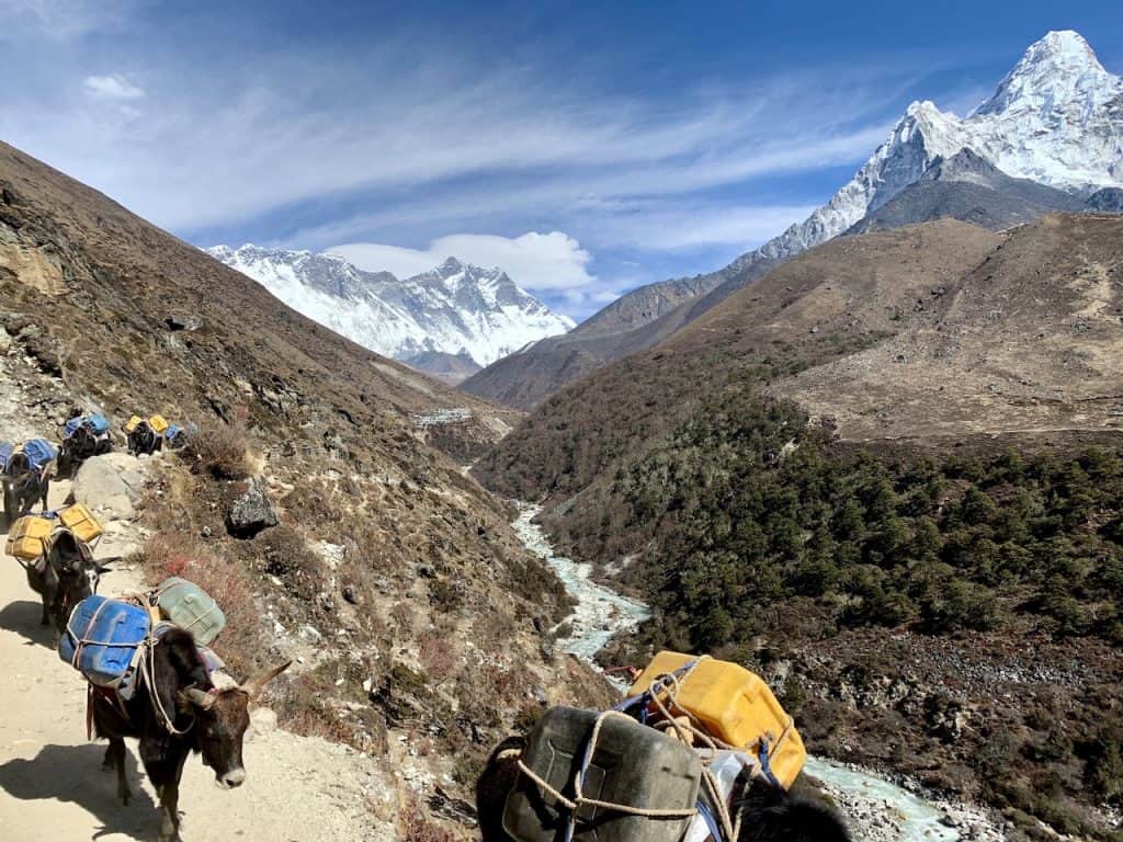 Tengboche to Dingboche Trekking | Distance, Elevation Profile, & Time