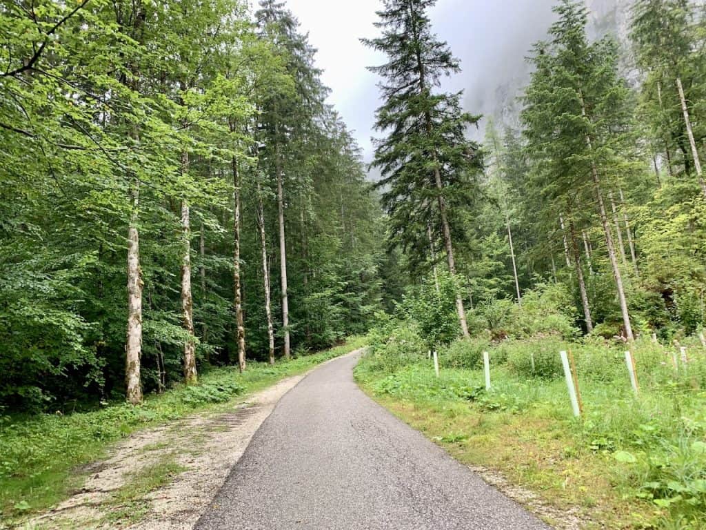 Visiting the Waldbachstrub Waterfall | A Hallstatt Waterfall Trail Guide