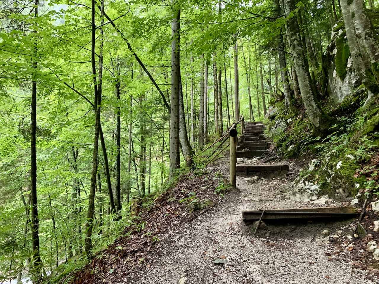 Waldbachstrub Trail