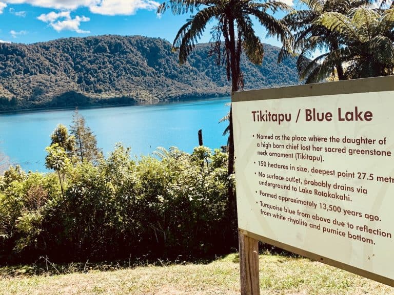 A Visit to the Blue and Green Lakes Rotorua Lookout | Viewpoint + Guide