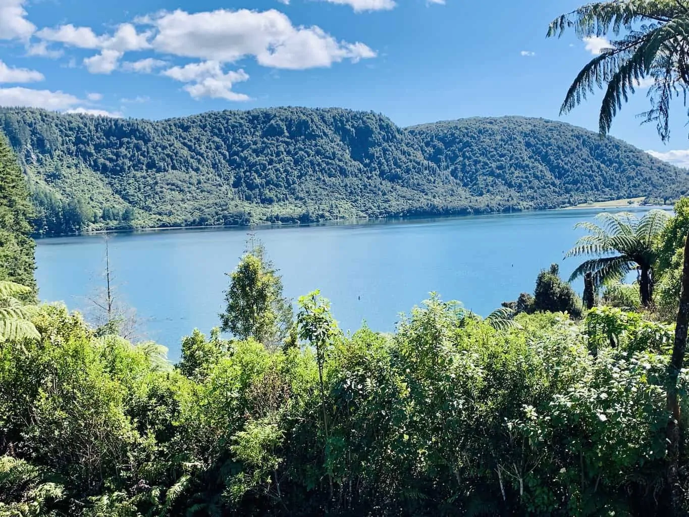 Blue and Green Lakes Rotorua