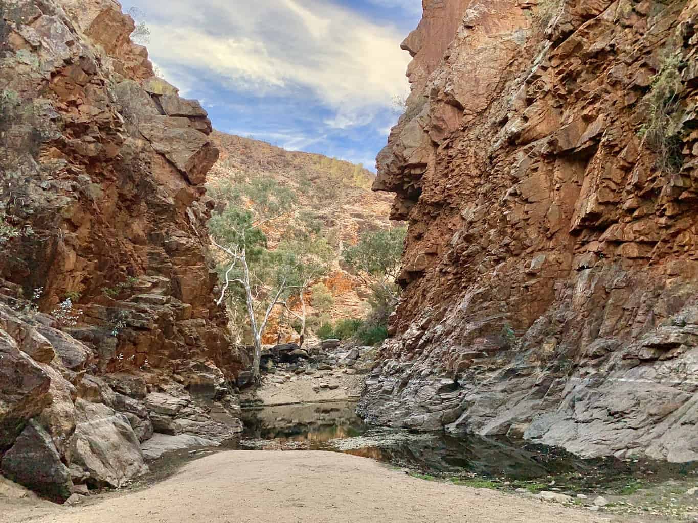 A COMPLETE OVERVIEW of Serpentine Gorge