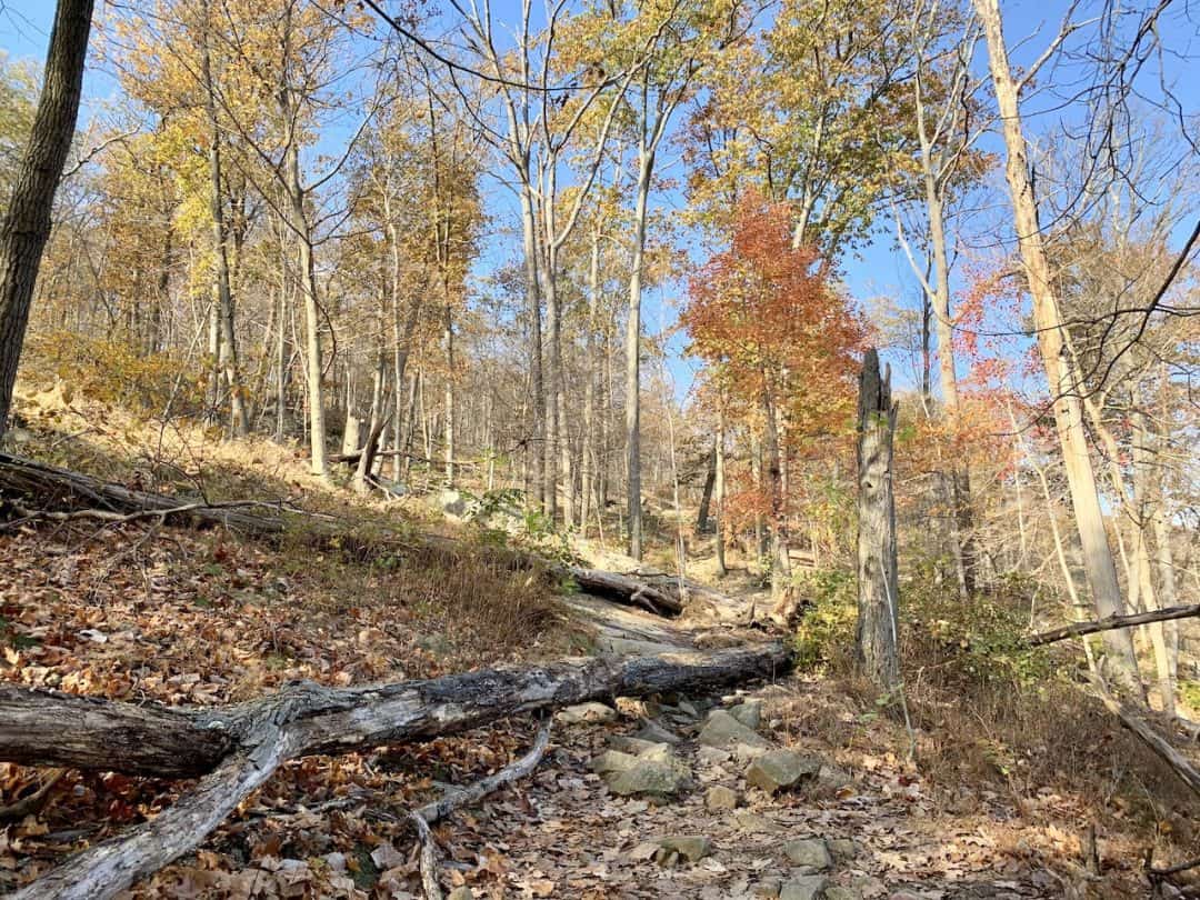 A Bear Mountain Hiking Guide Major Welch & Appalachian Loop Trail