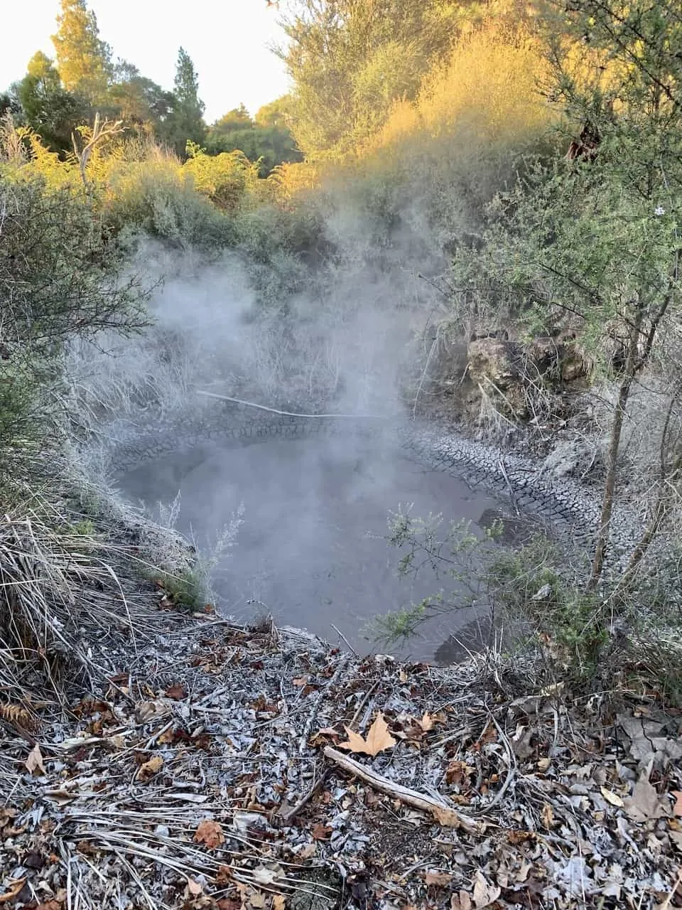 Kuirau Park Mud Pools